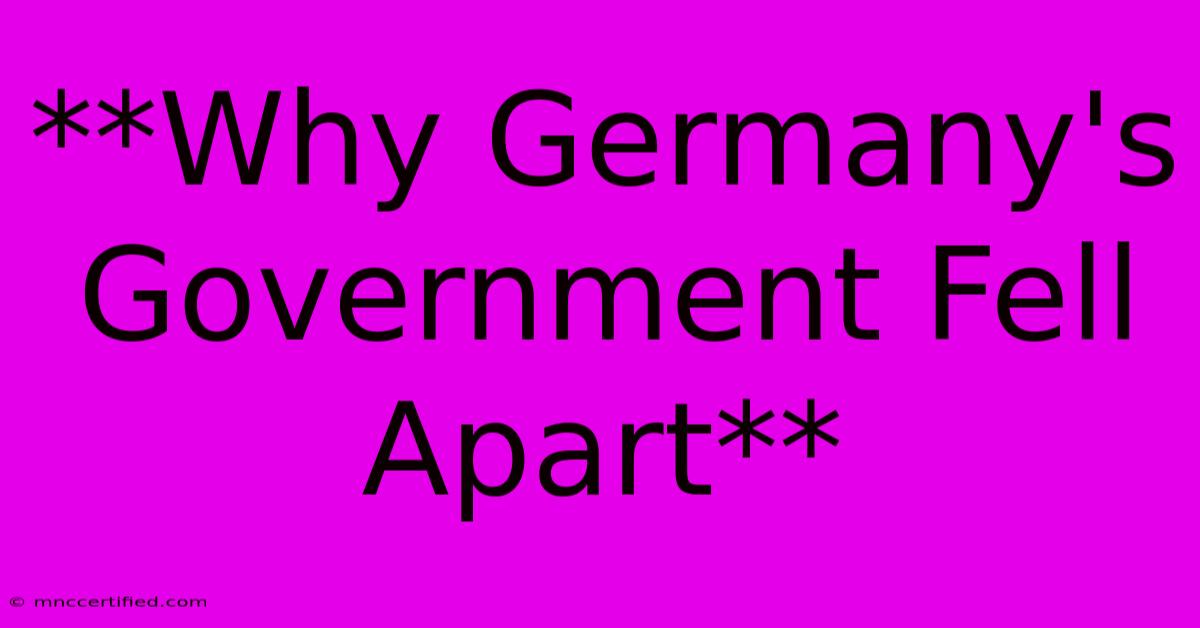 **Why Germany's Government Fell Apart**