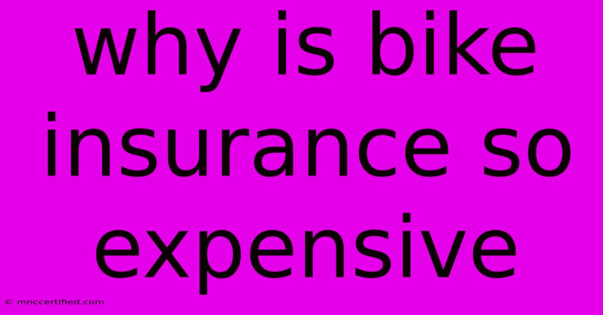 Why Is Bike Insurance So Expensive