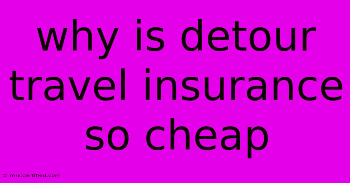 Why Is Detour Travel Insurance So Cheap