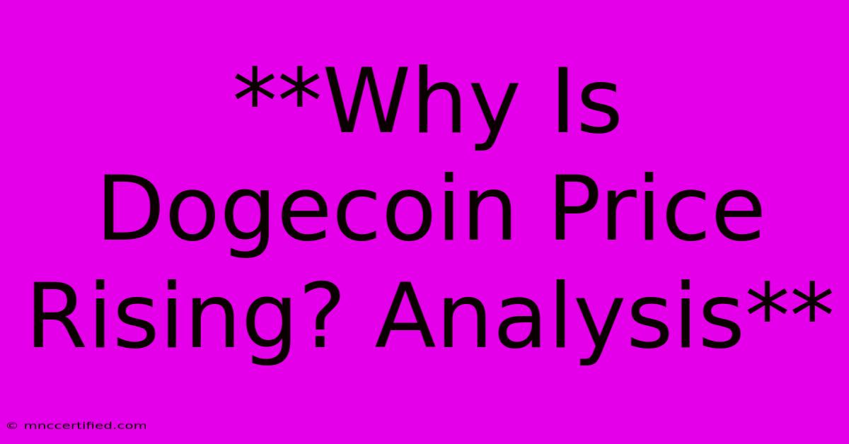 **Why Is Dogecoin Price Rising? Analysis** 