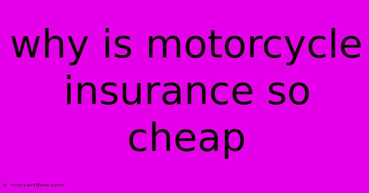 Why Is Motorcycle Insurance So Cheap