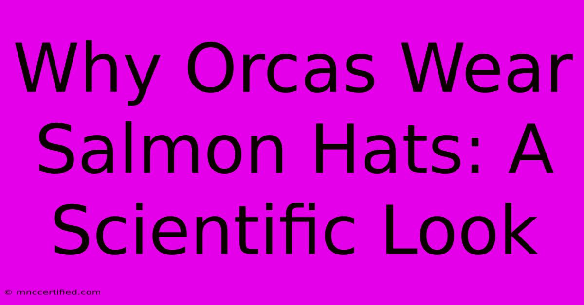 Why Orcas Wear Salmon Hats: A Scientific Look