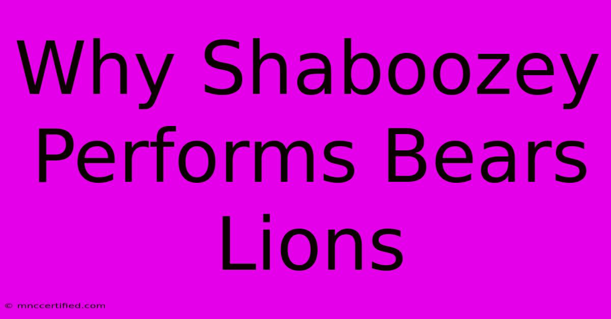 Why Shaboozey Performs Bears Lions