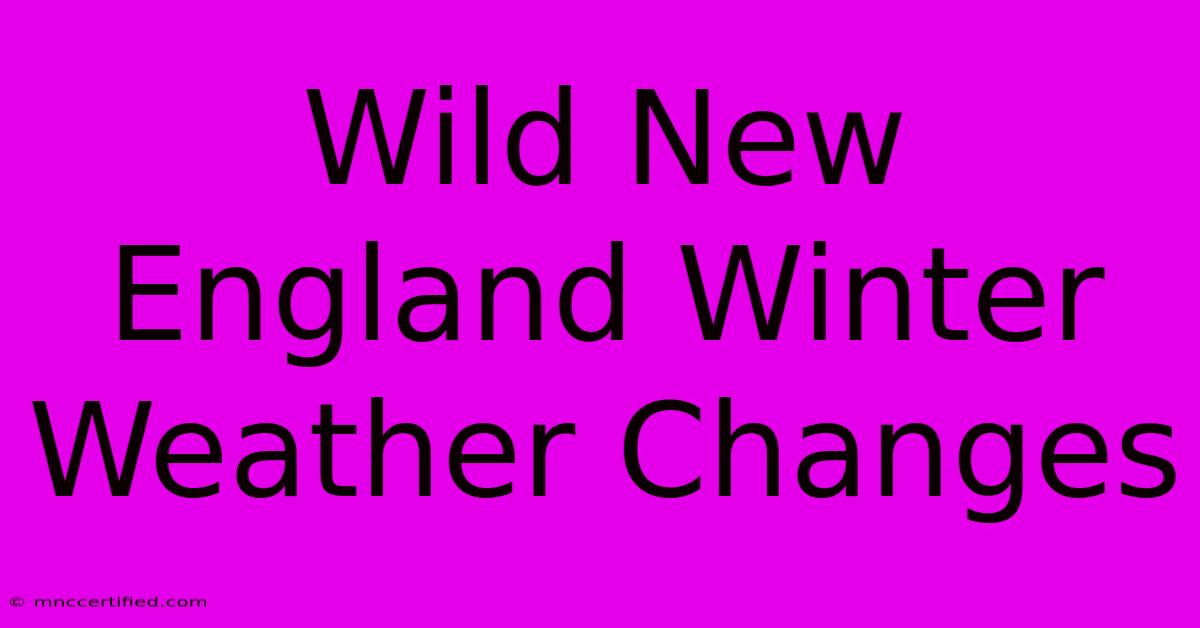 Wild New England Winter Weather Changes