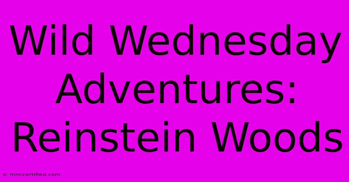 Wild Wednesday Adventures: Reinstein Woods