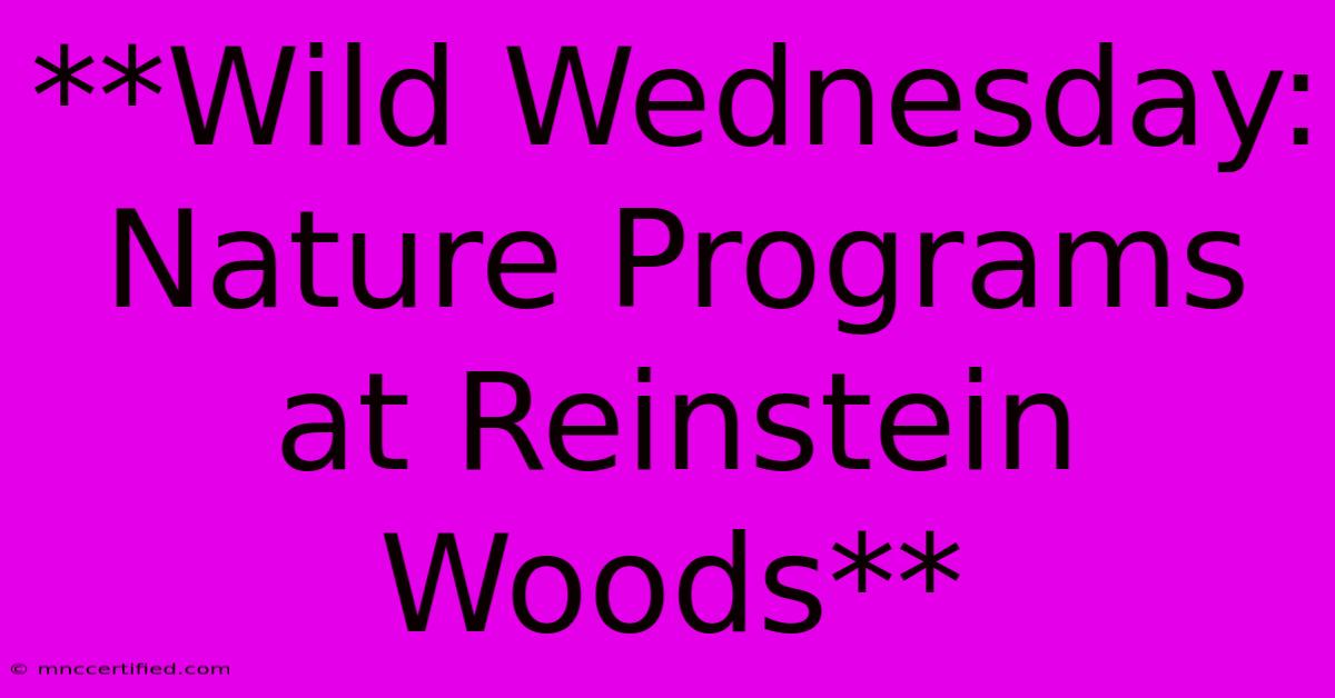 **Wild Wednesday: Nature Programs At Reinstein Woods**