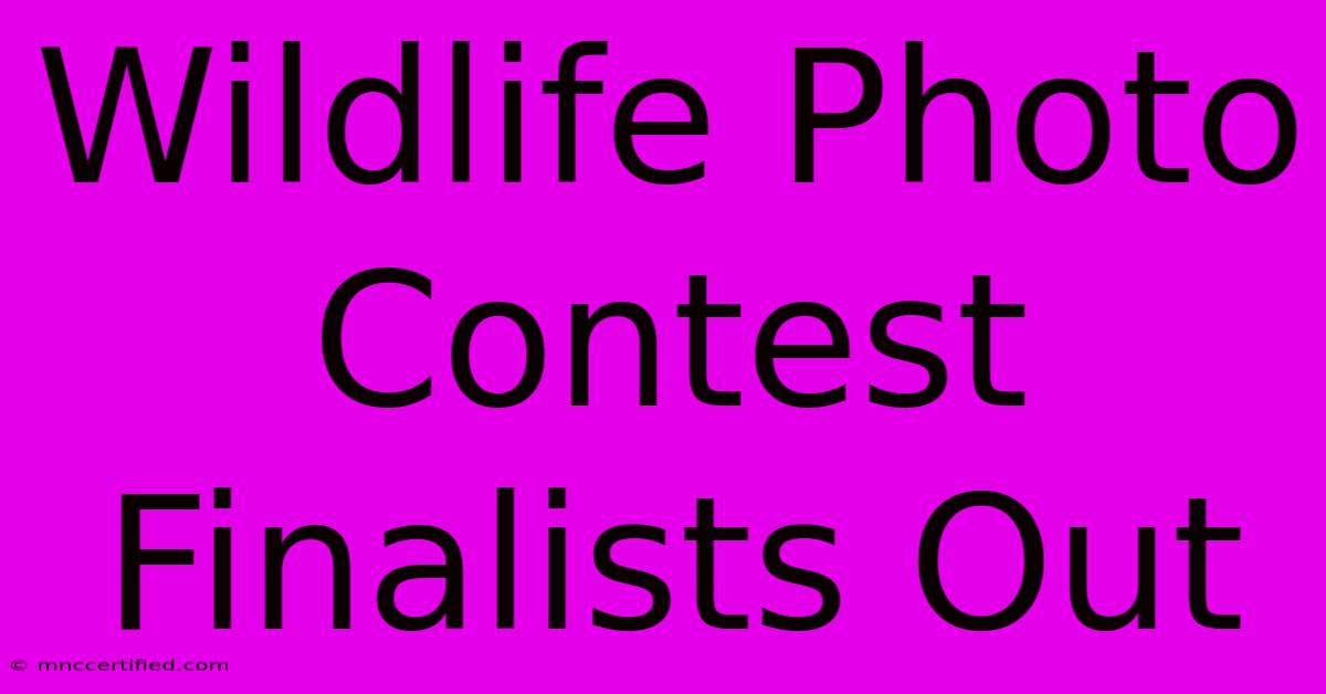 Wildlife Photo Contest Finalists Out