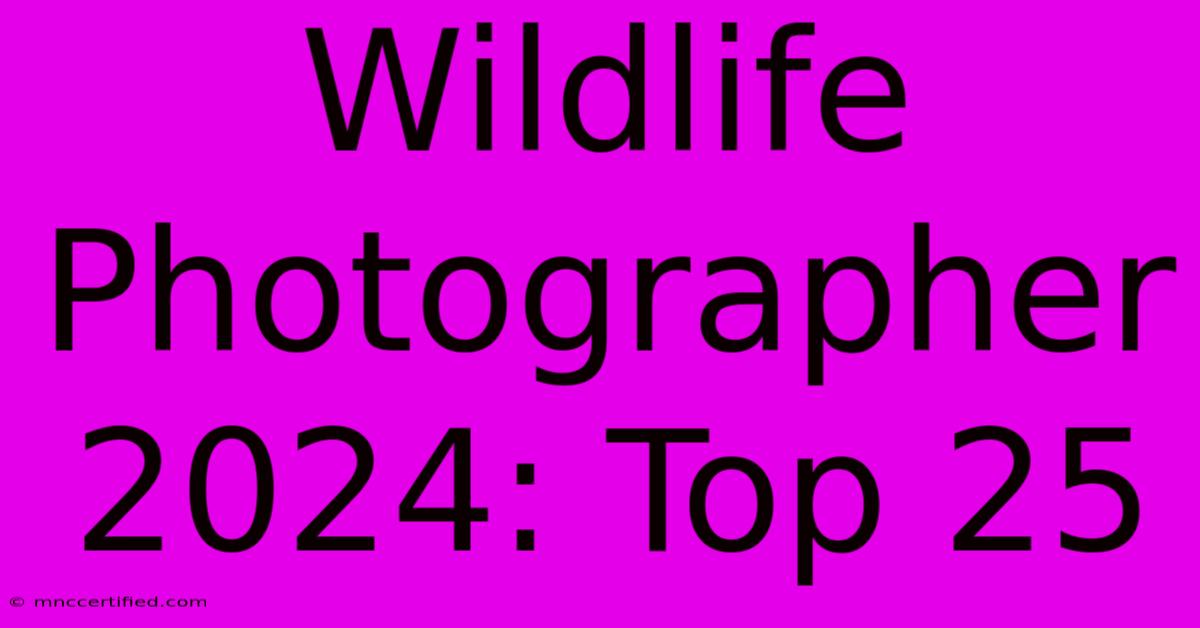 Wildlife Photographer 2024: Top 25