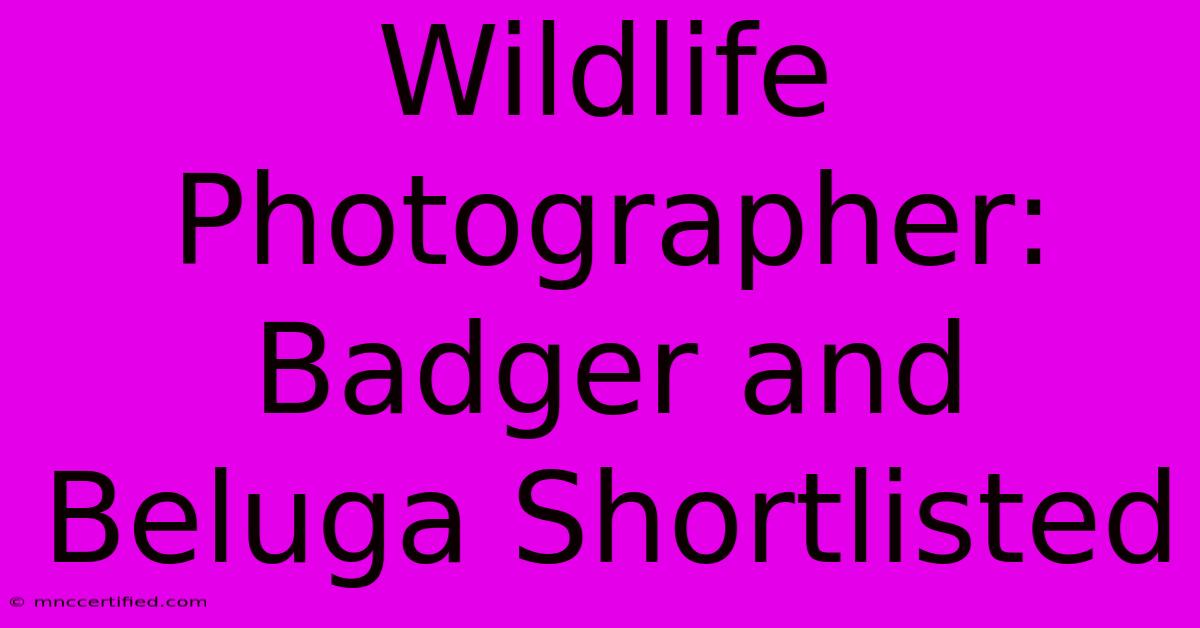 Wildlife Photographer: Badger And Beluga Shortlisted