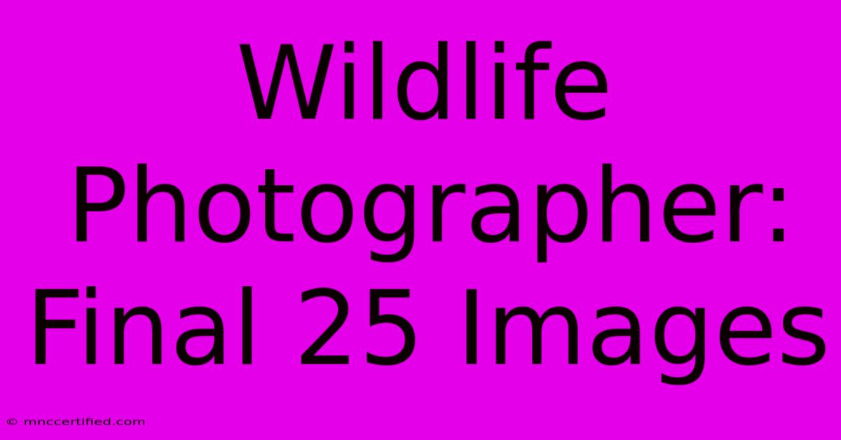 Wildlife Photographer: Final 25 Images