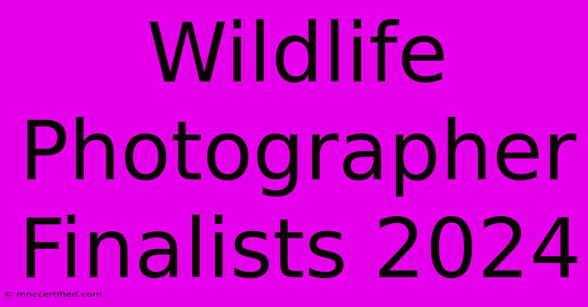 Wildlife Photographer Finalists 2024