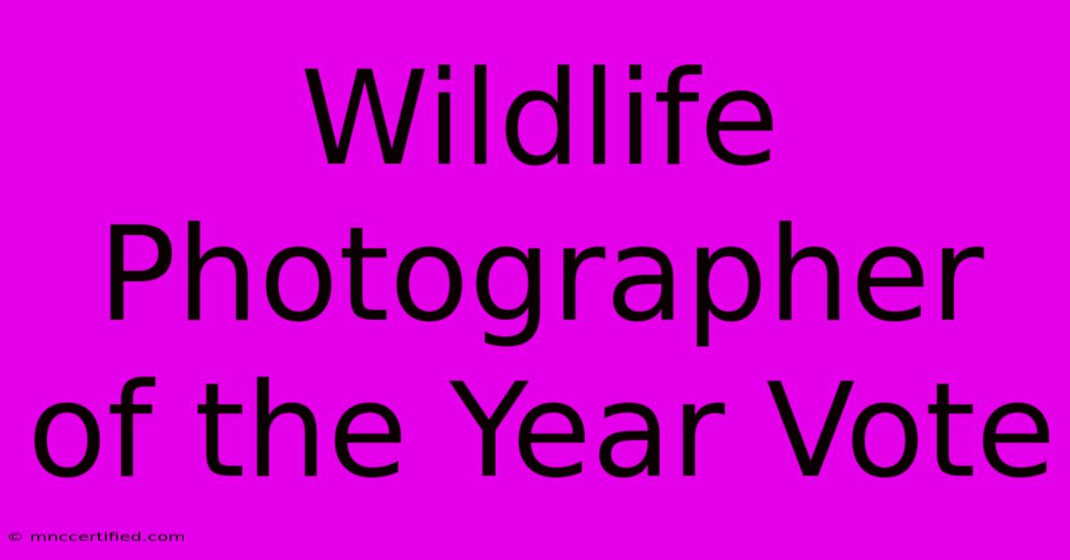 Wildlife Photographer Of The Year Vote