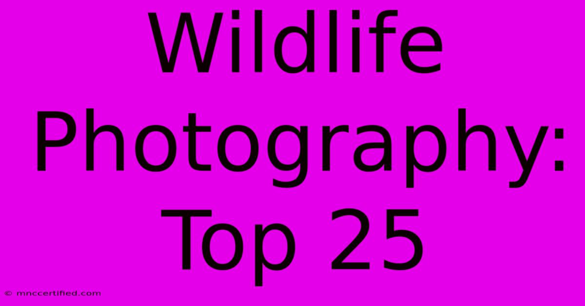 Wildlife Photography: Top 25