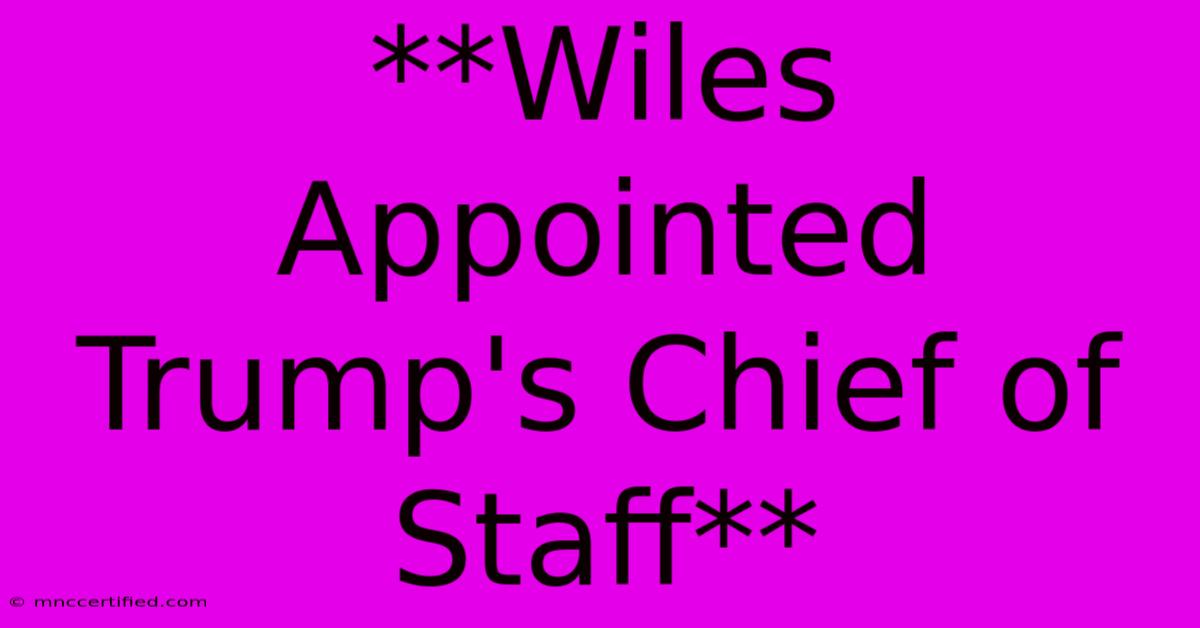 **Wiles Appointed Trump's Chief Of Staff**