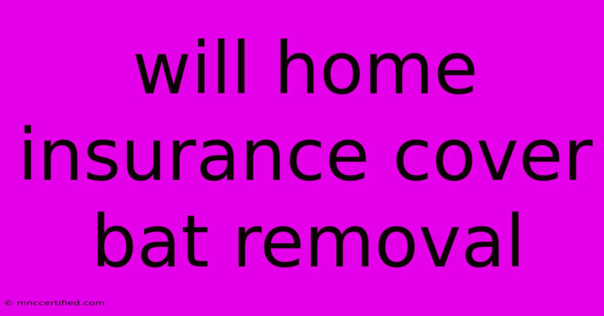 Will Home Insurance Cover Bat Removal