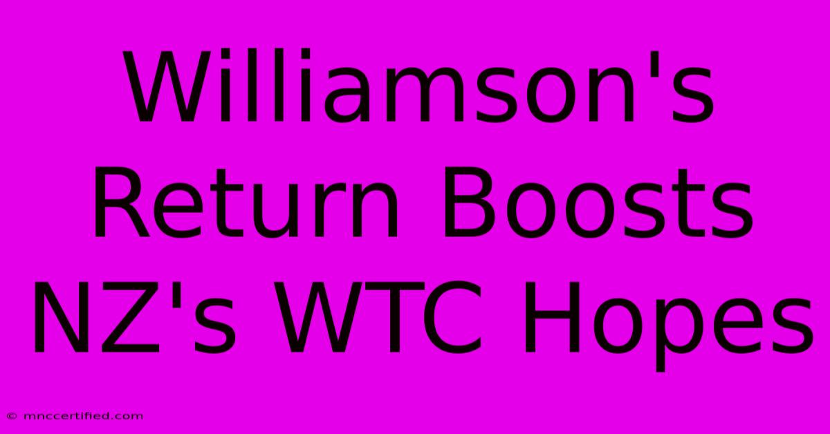 Williamson's Return Boosts NZ's WTC Hopes