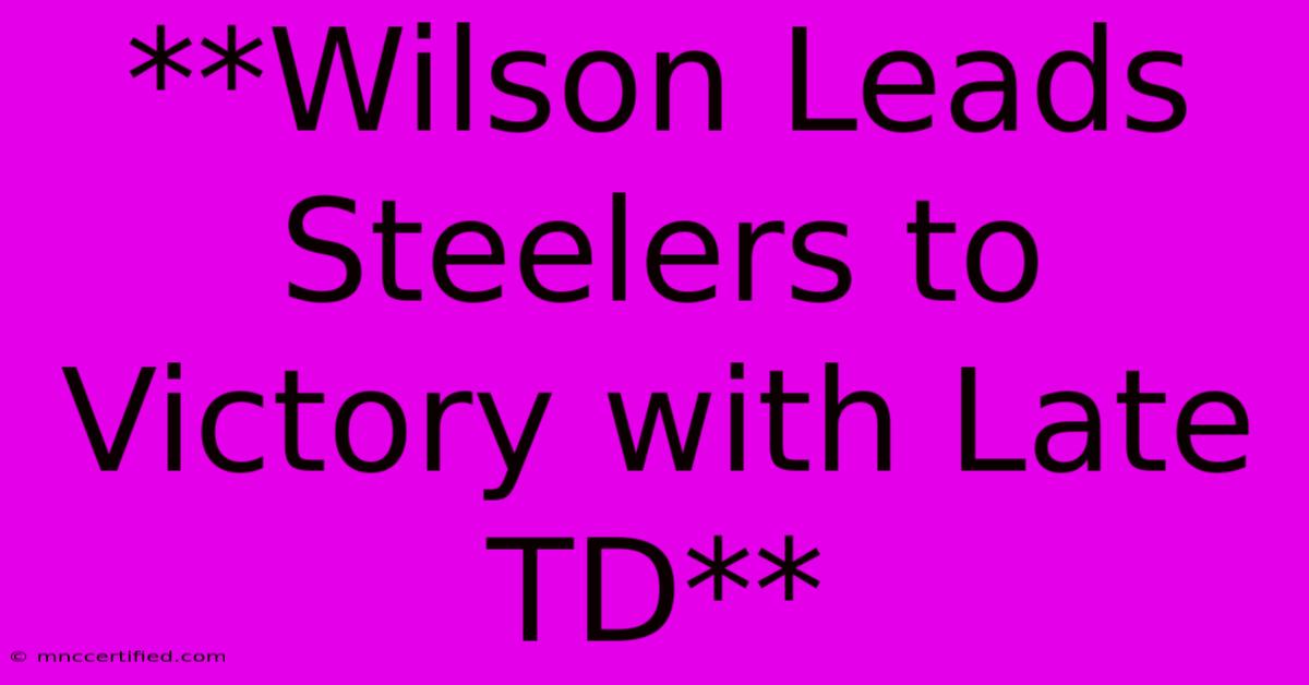 **Wilson Leads Steelers To Victory With Late TD**