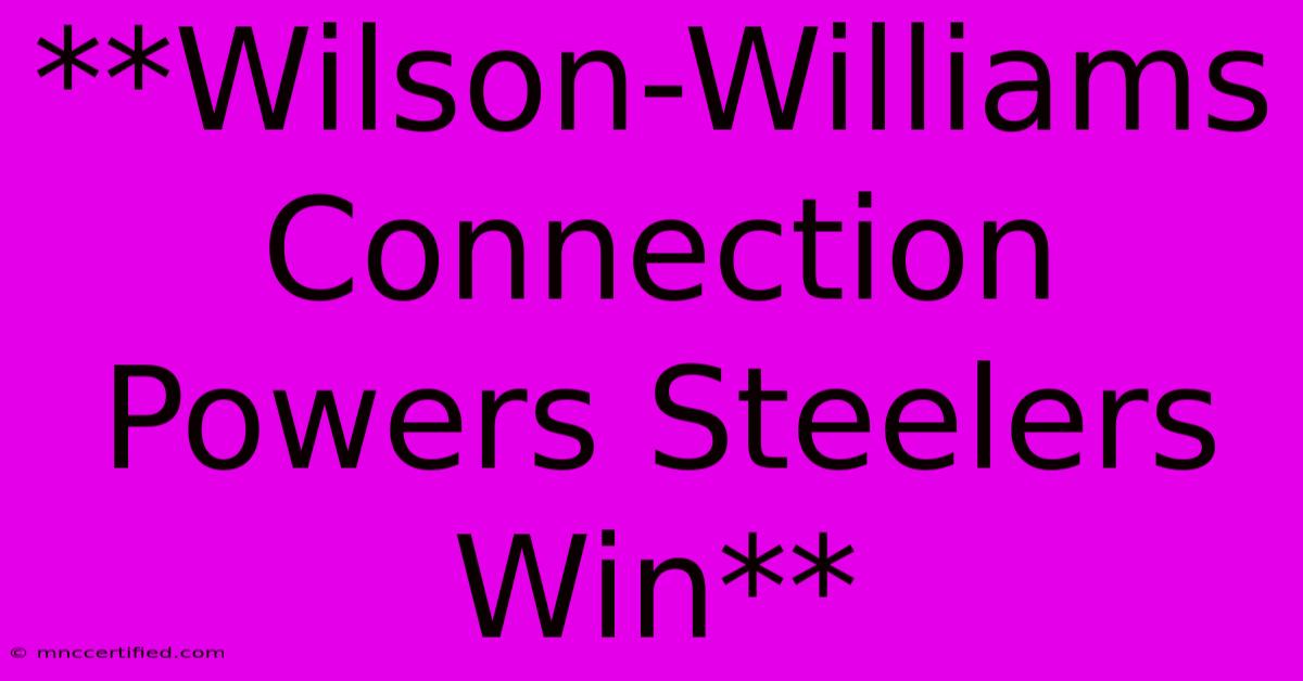 **Wilson-Williams Connection Powers Steelers Win**