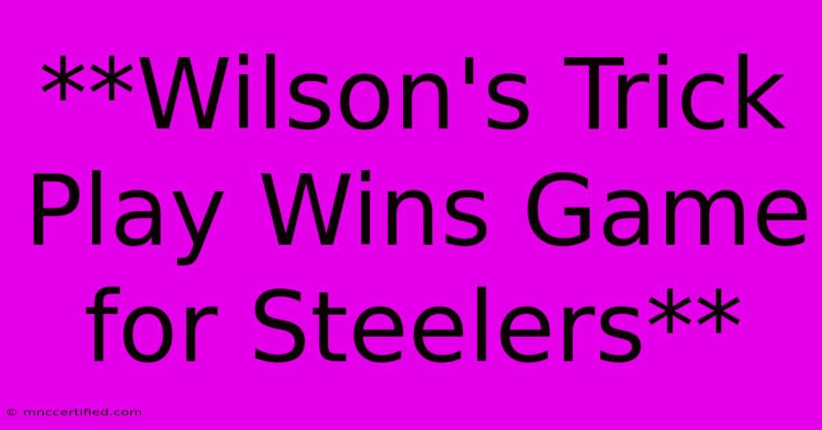 **Wilson's Trick Play Wins Game For Steelers**