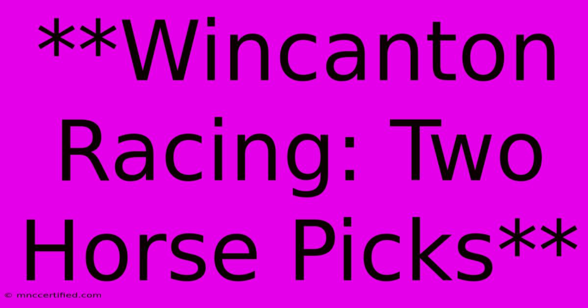 **Wincanton Racing: Two Horse Picks**