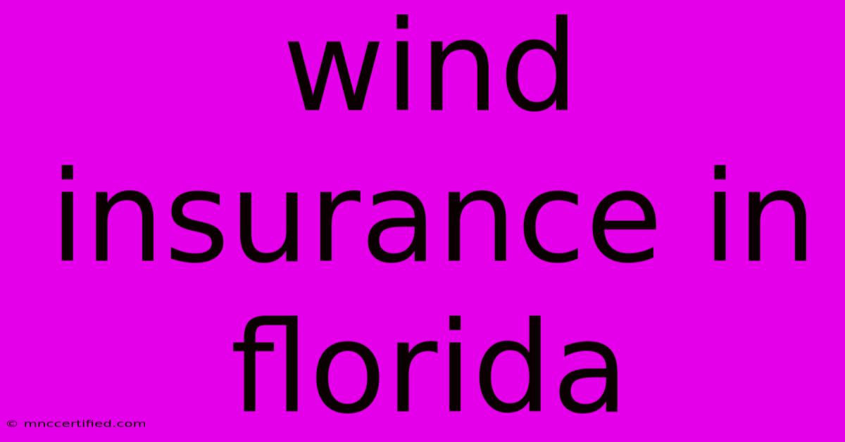 Wind Insurance In Florida