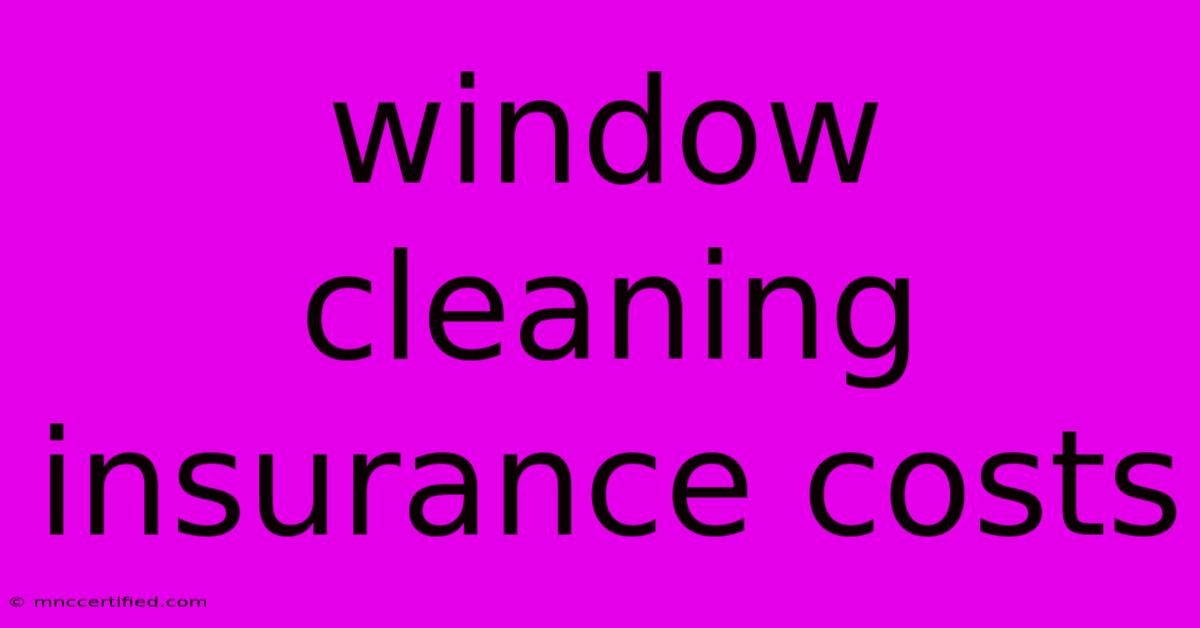 Window Cleaning Insurance Costs