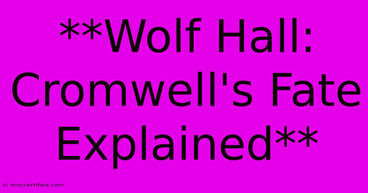 **Wolf Hall: Cromwell's Fate Explained**