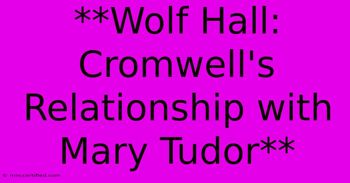 **Wolf Hall: Cromwell's Relationship With Mary Tudor**