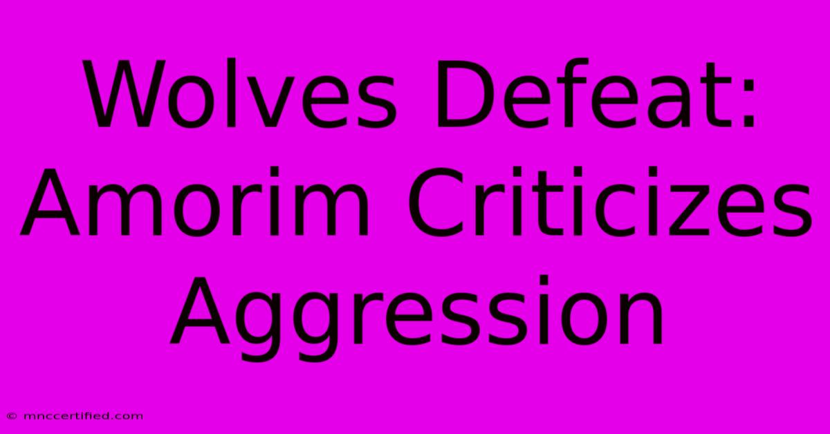 Wolves Defeat: Amorim Criticizes Aggression