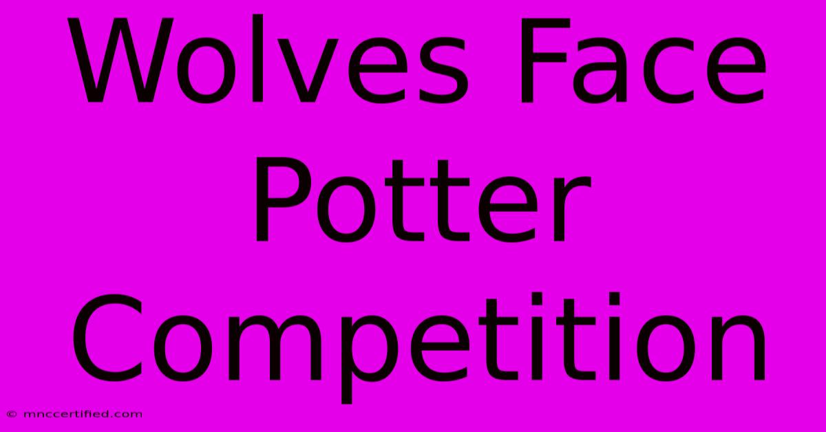 Wolves Face Potter Competition