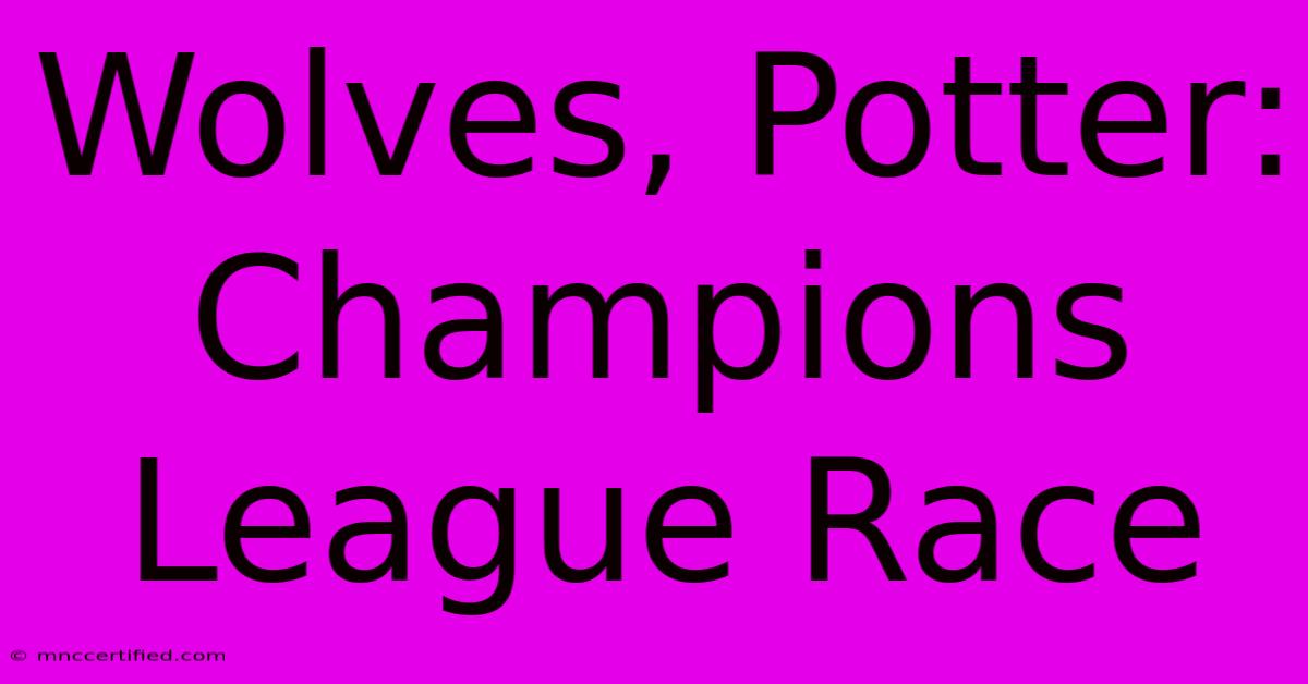 Wolves, Potter: Champions League Race