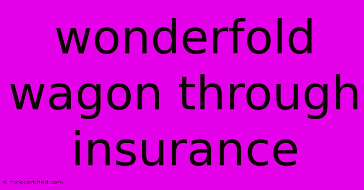 Wonderfold Wagon Through Insurance