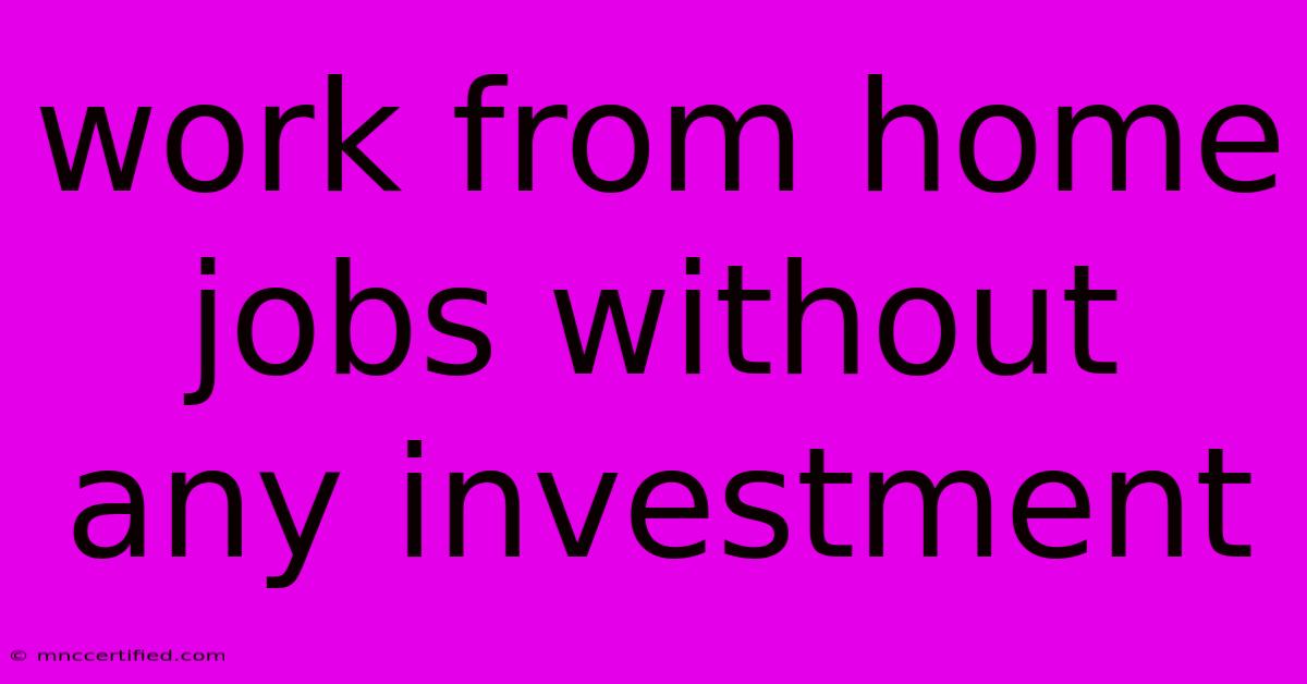 Work From Home Jobs Without Any Investment