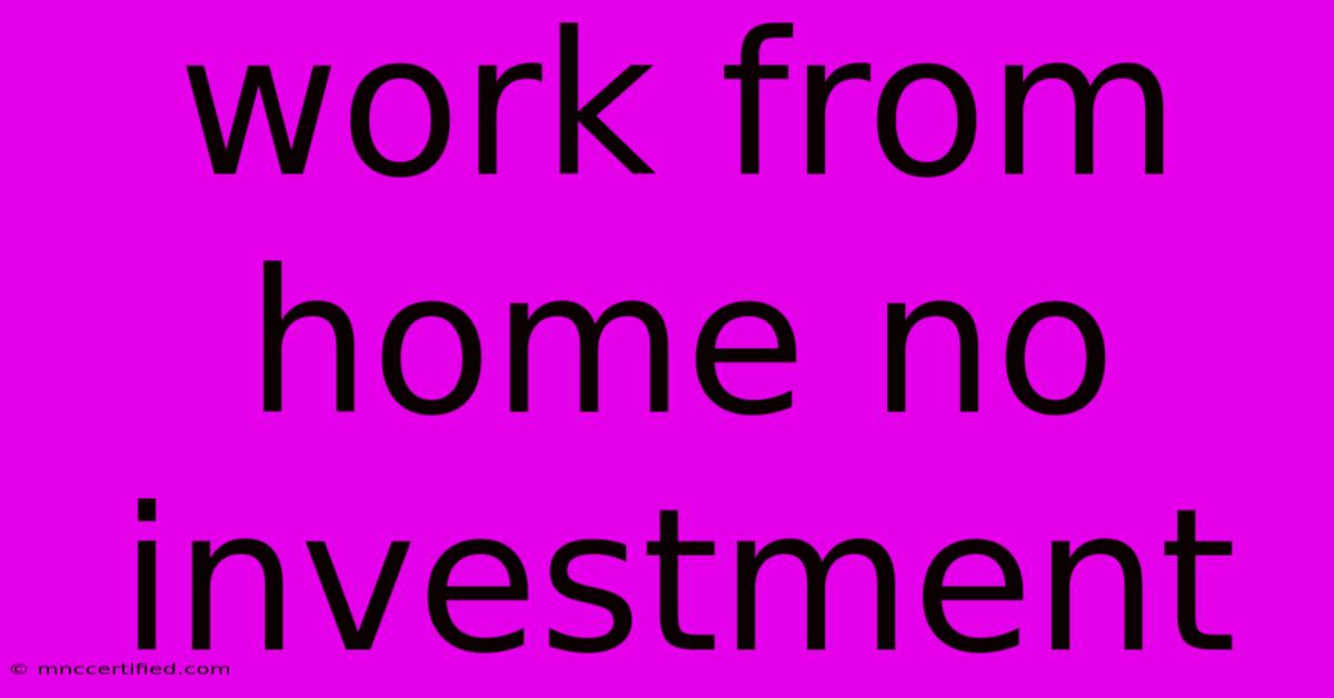 Work From Home No Investment