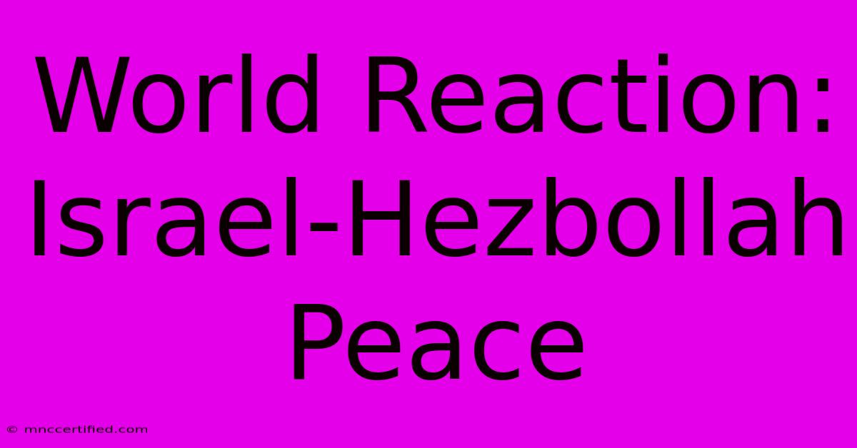 World Reaction: Israel-Hezbollah Peace