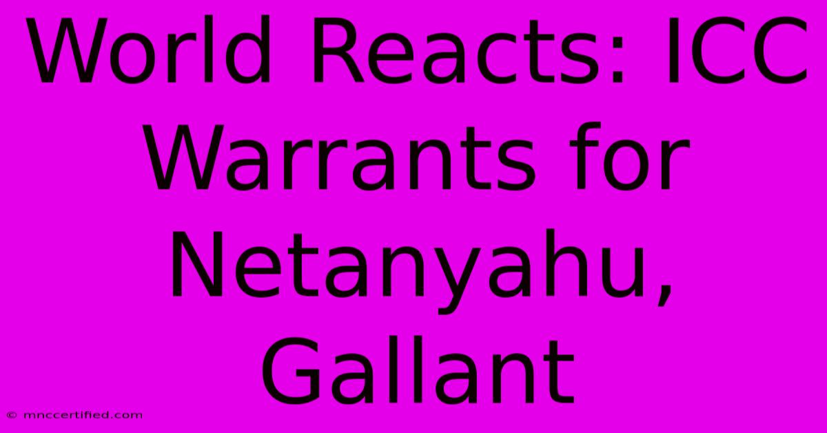 World Reacts: ICC Warrants For Netanyahu, Gallant