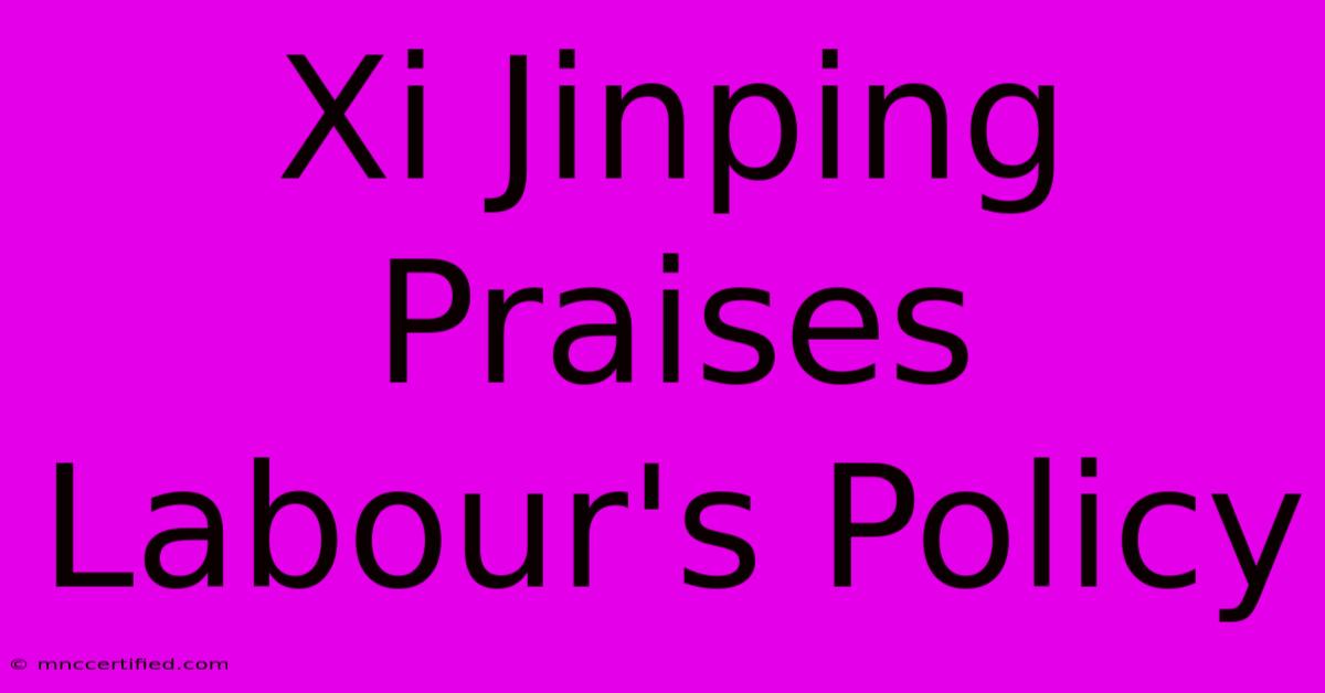 Xi Jinping Praises Labour's Policy