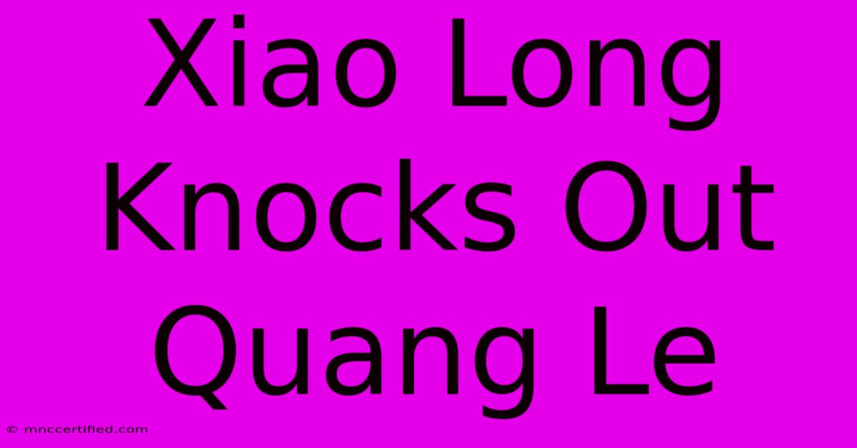 Xiao Long Knocks Out Quang Le