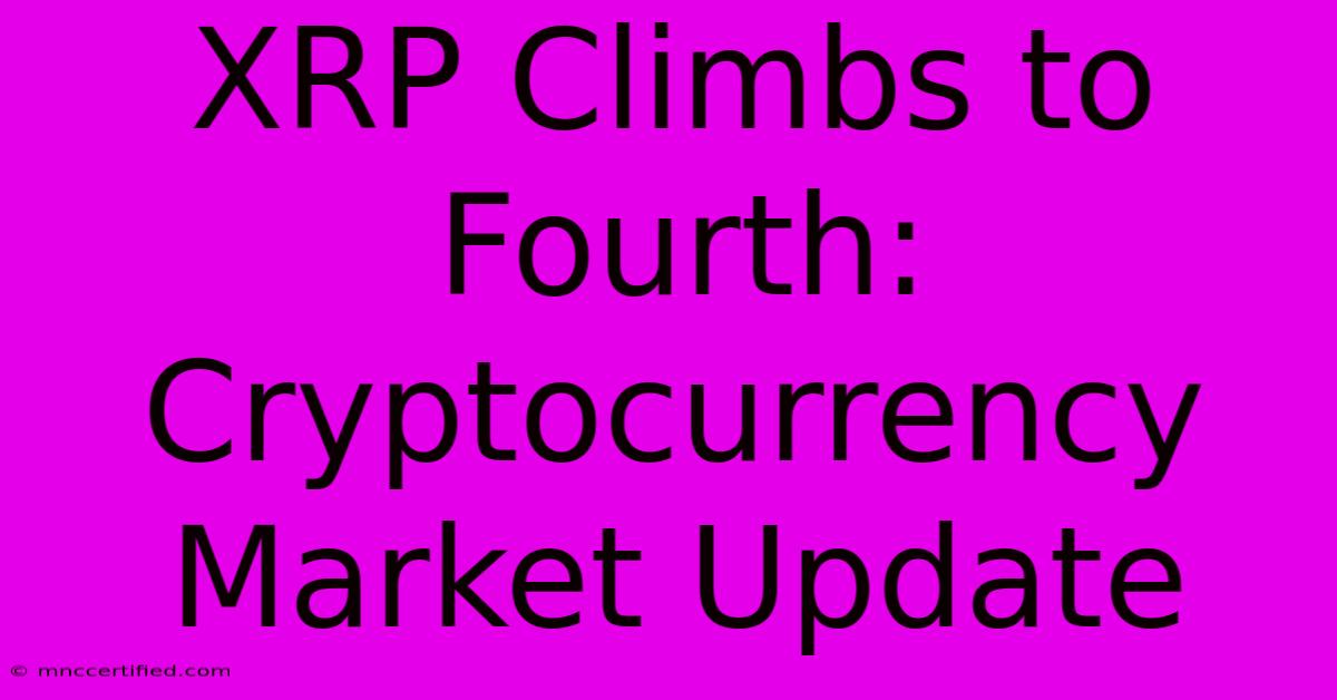 XRP Climbs To Fourth: Cryptocurrency Market Update