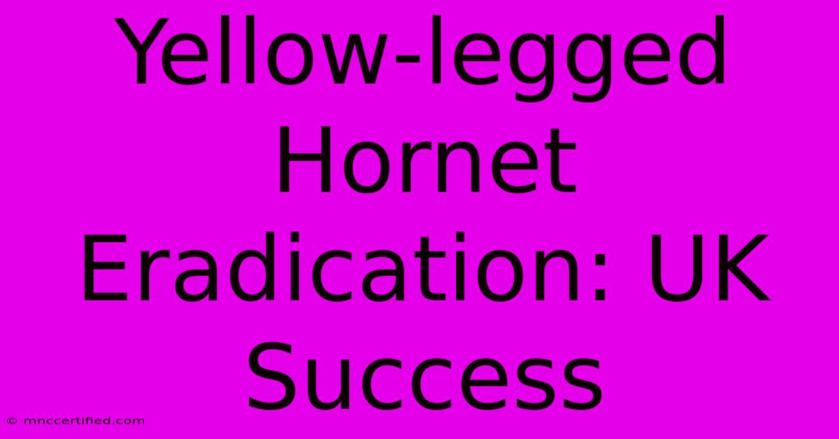 Yellow-legged Hornet Eradication: UK Success