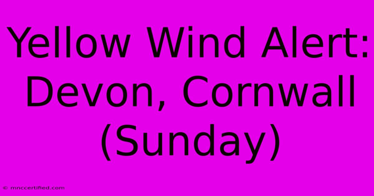 Yellow Wind Alert: Devon, Cornwall (Sunday)