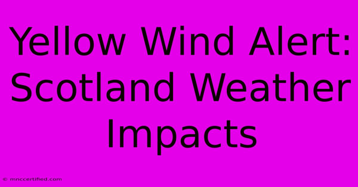 Yellow Wind Alert: Scotland Weather Impacts