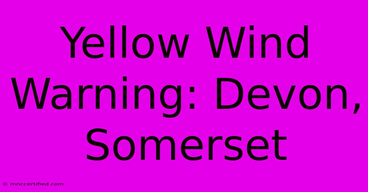 Yellow Wind Warning: Devon, Somerset