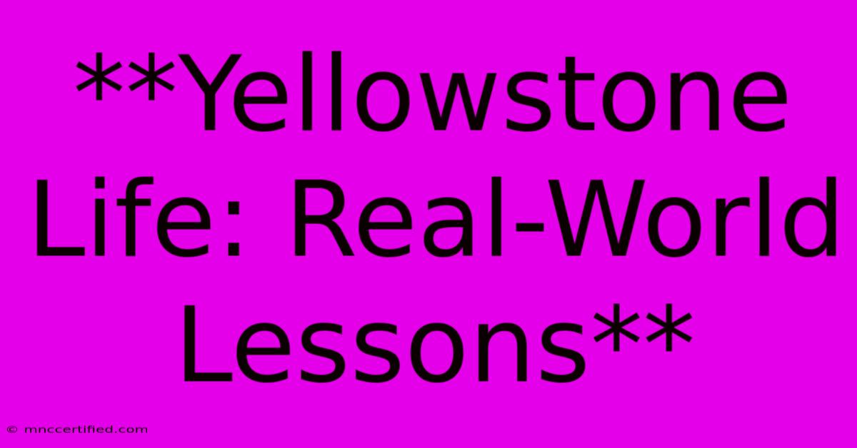 **Yellowstone Life: Real-World Lessons** 