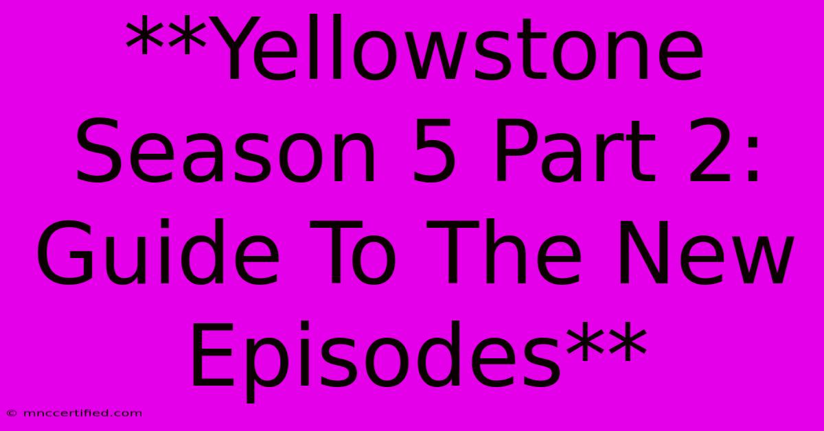 **Yellowstone Season 5 Part 2: Guide To The New Episodes** 