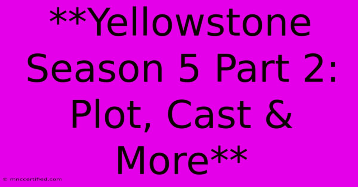 **Yellowstone Season 5 Part 2: Plot, Cast & More**