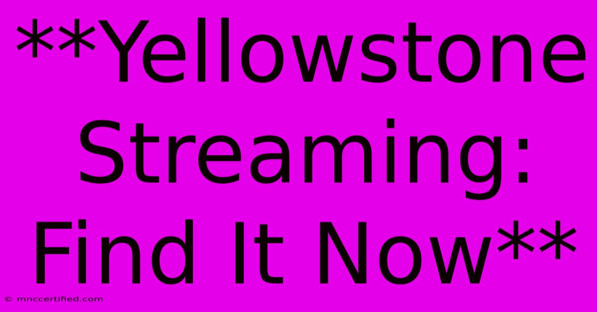 **Yellowstone Streaming: Find It Now**