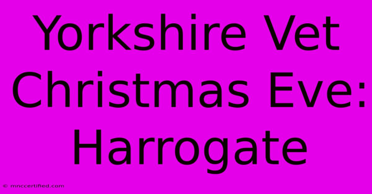 Yorkshire Vet Christmas Eve: Harrogate