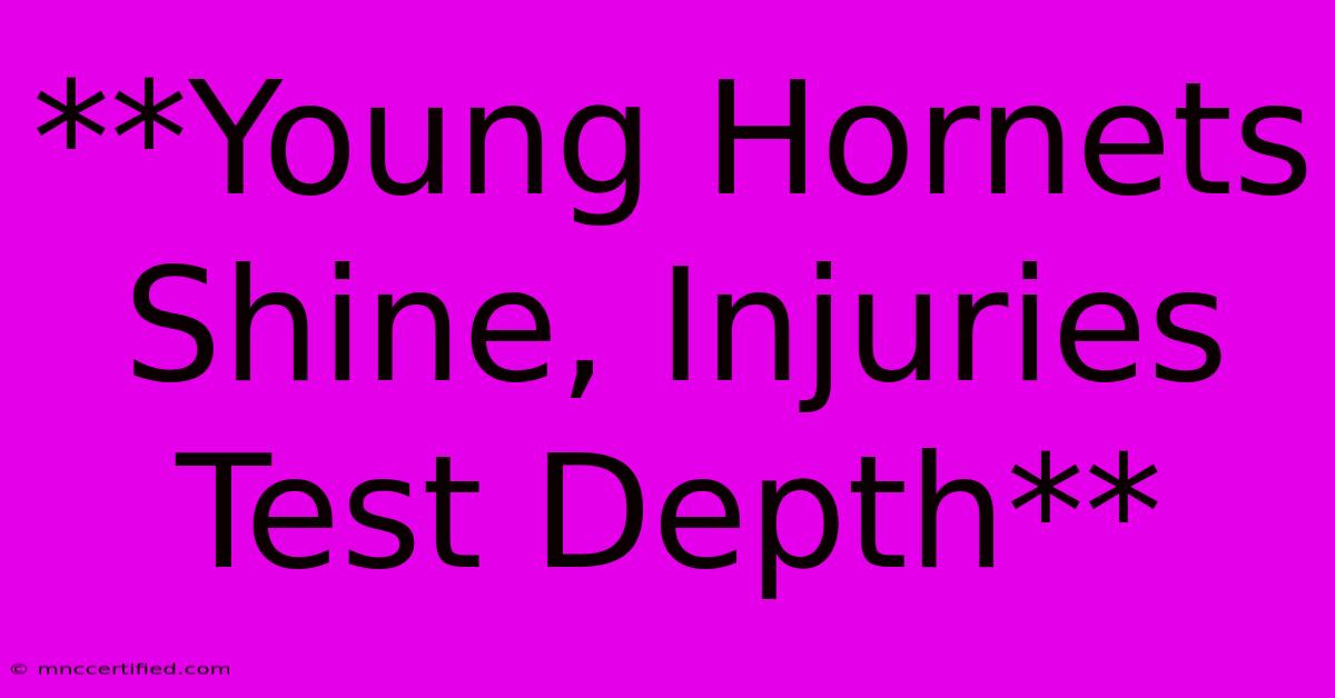 **Young Hornets Shine, Injuries Test Depth**