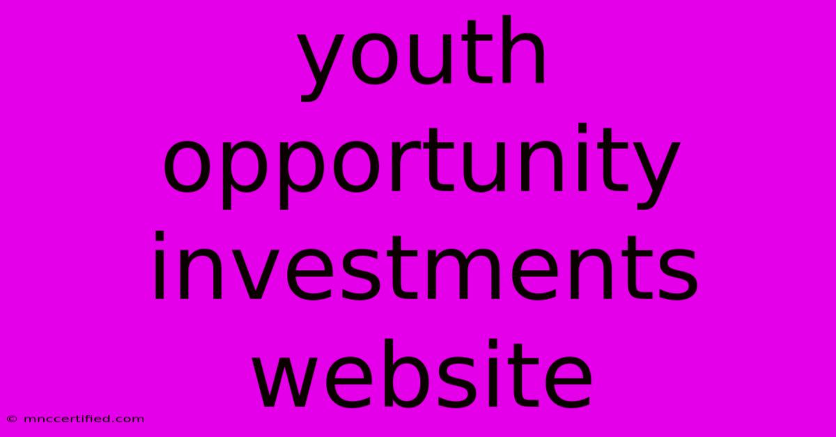 Youth Opportunity Investments Website